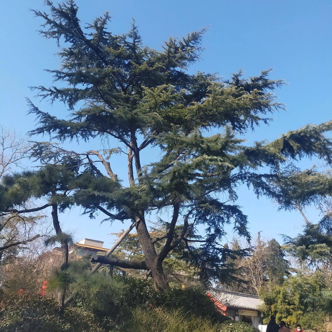 ☘️余生爱自己☘️