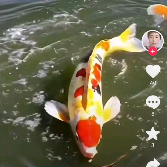 用户1030997125546