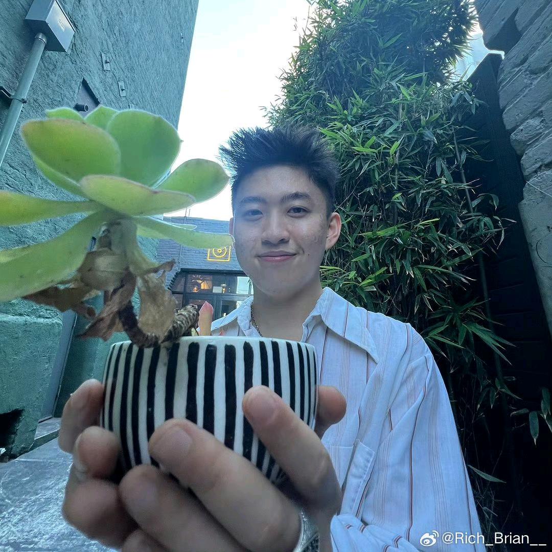 我是一只小狗