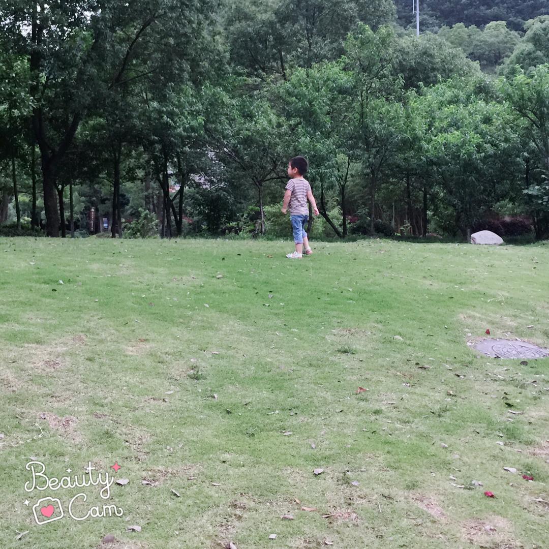 贝淼淼淼