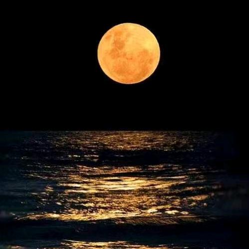 落花流水春去也，天上人间