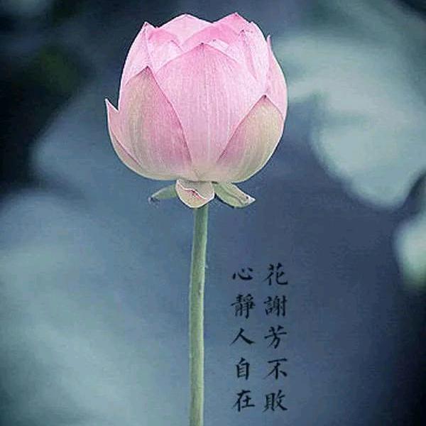 慕寒思暖