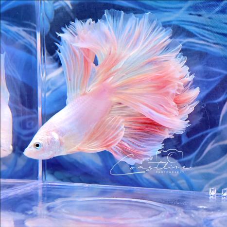 兴泰水族馆