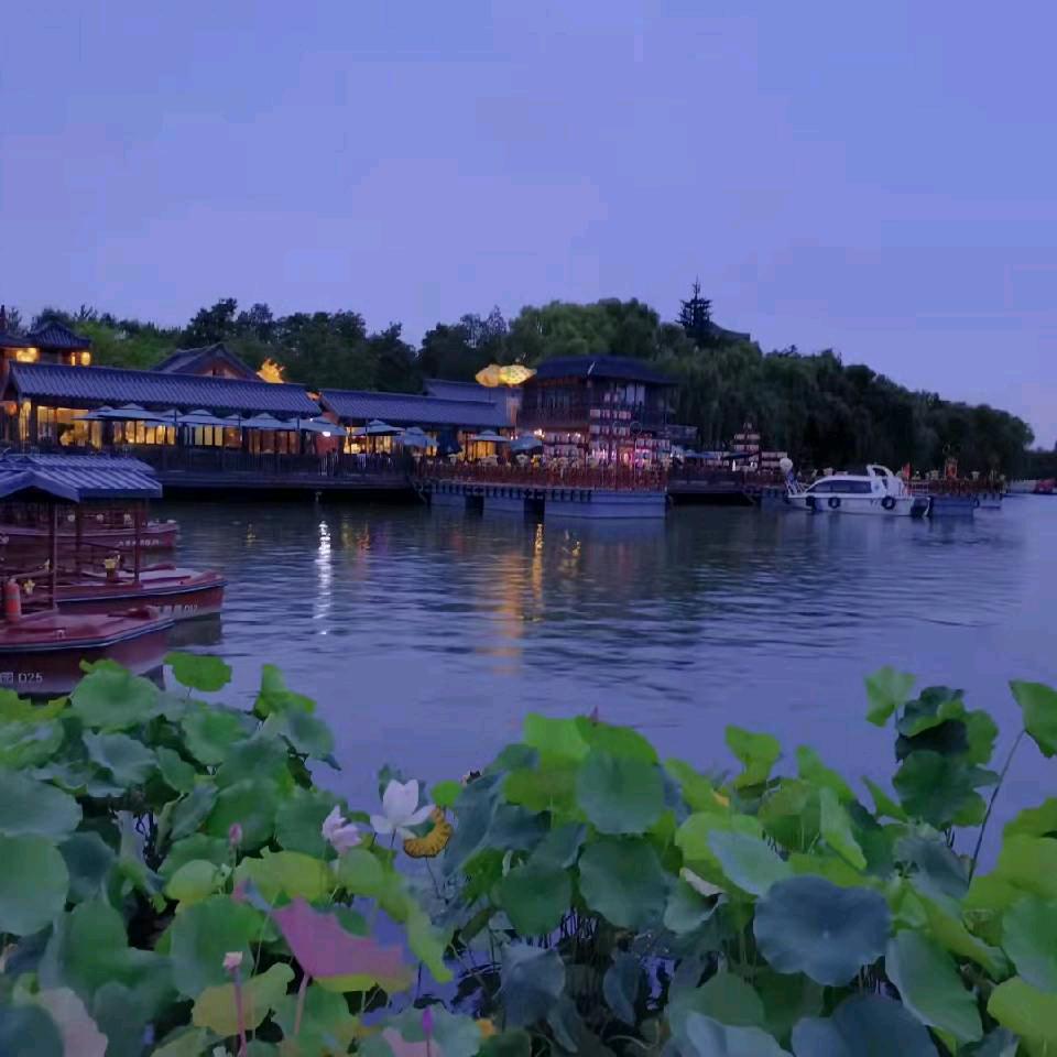 闻我爱我家