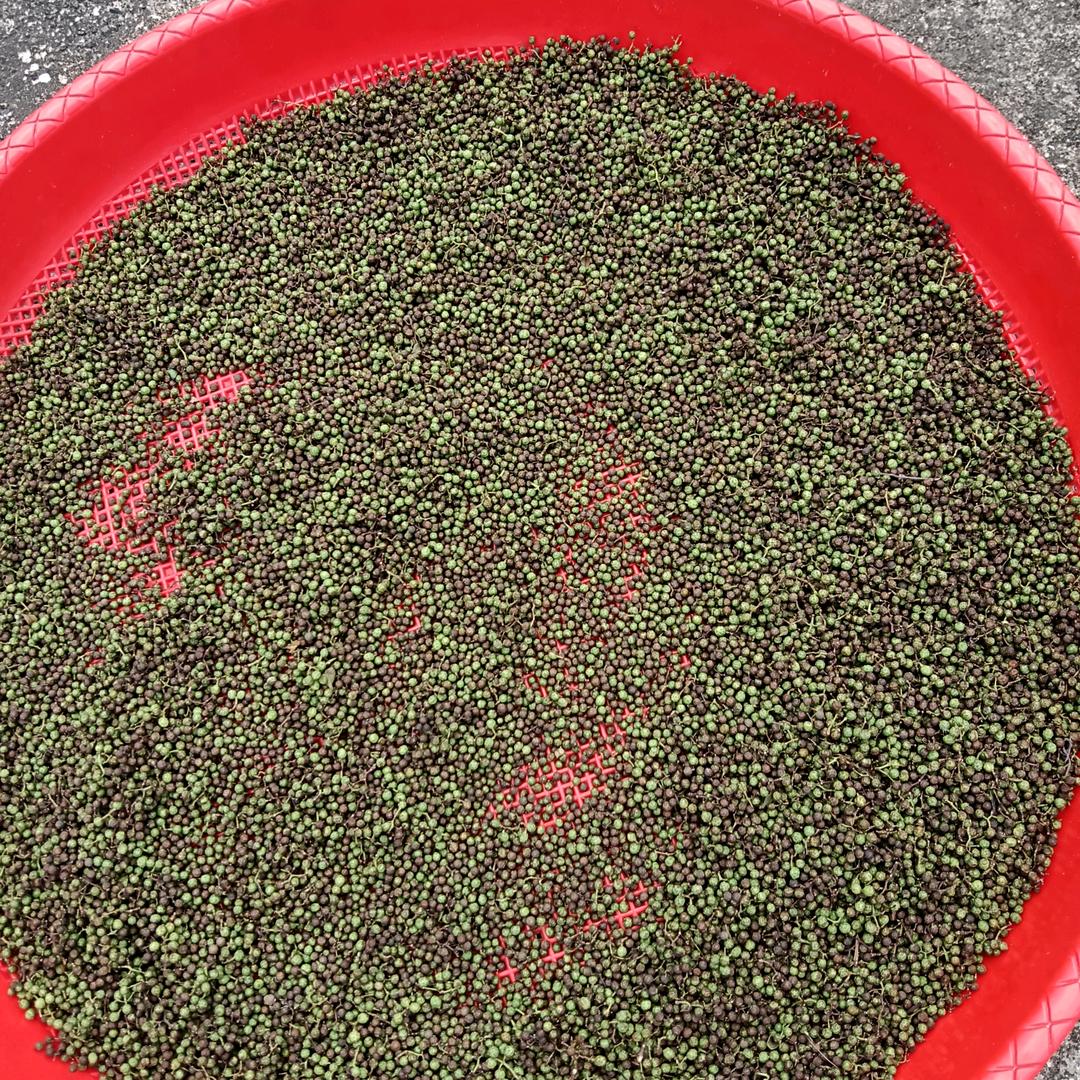 铿锵玫瑰