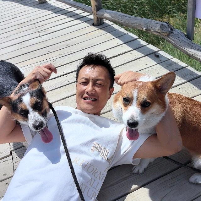 会飞的馕（书铭沉淀中）