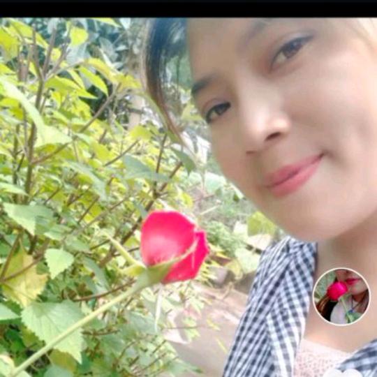 单恋一枝花🌹