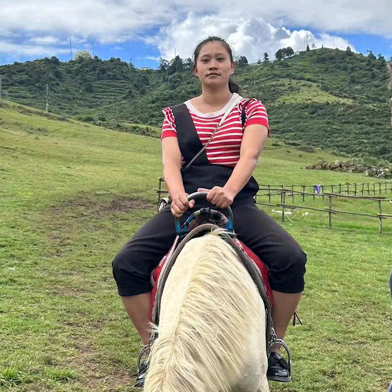 柠檬树下的青苔