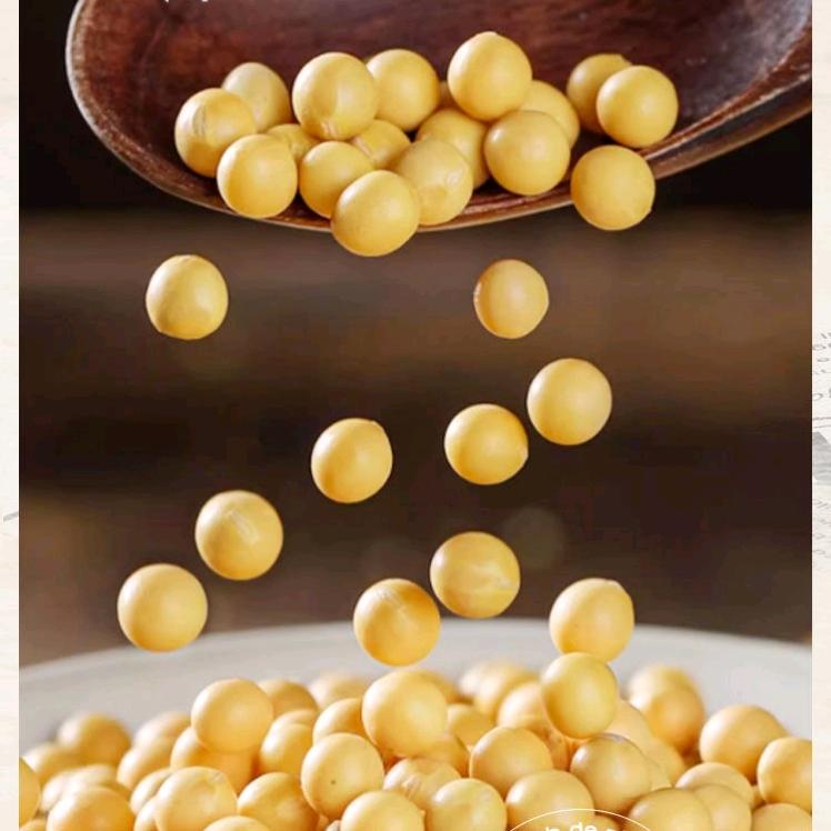 金豆豆制品食品厂
