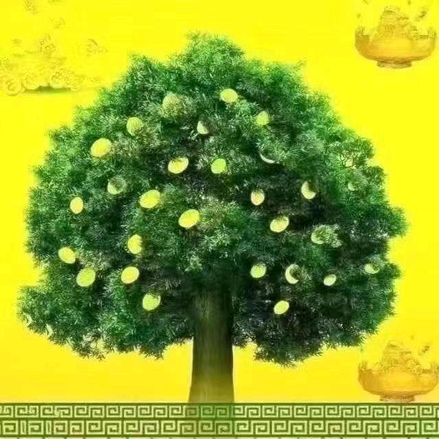 半夏琉璃ソ空人心