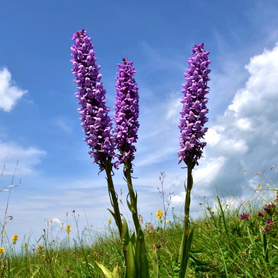 @敬往事一杯酒💔