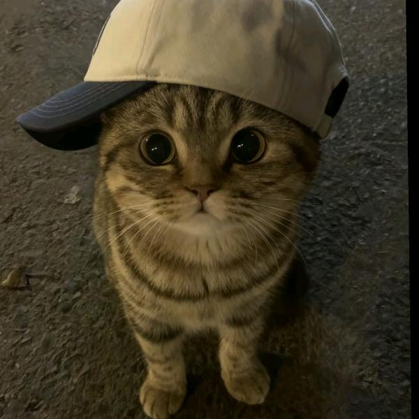 天曰天