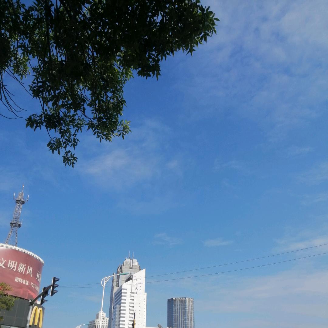 高姐看房
