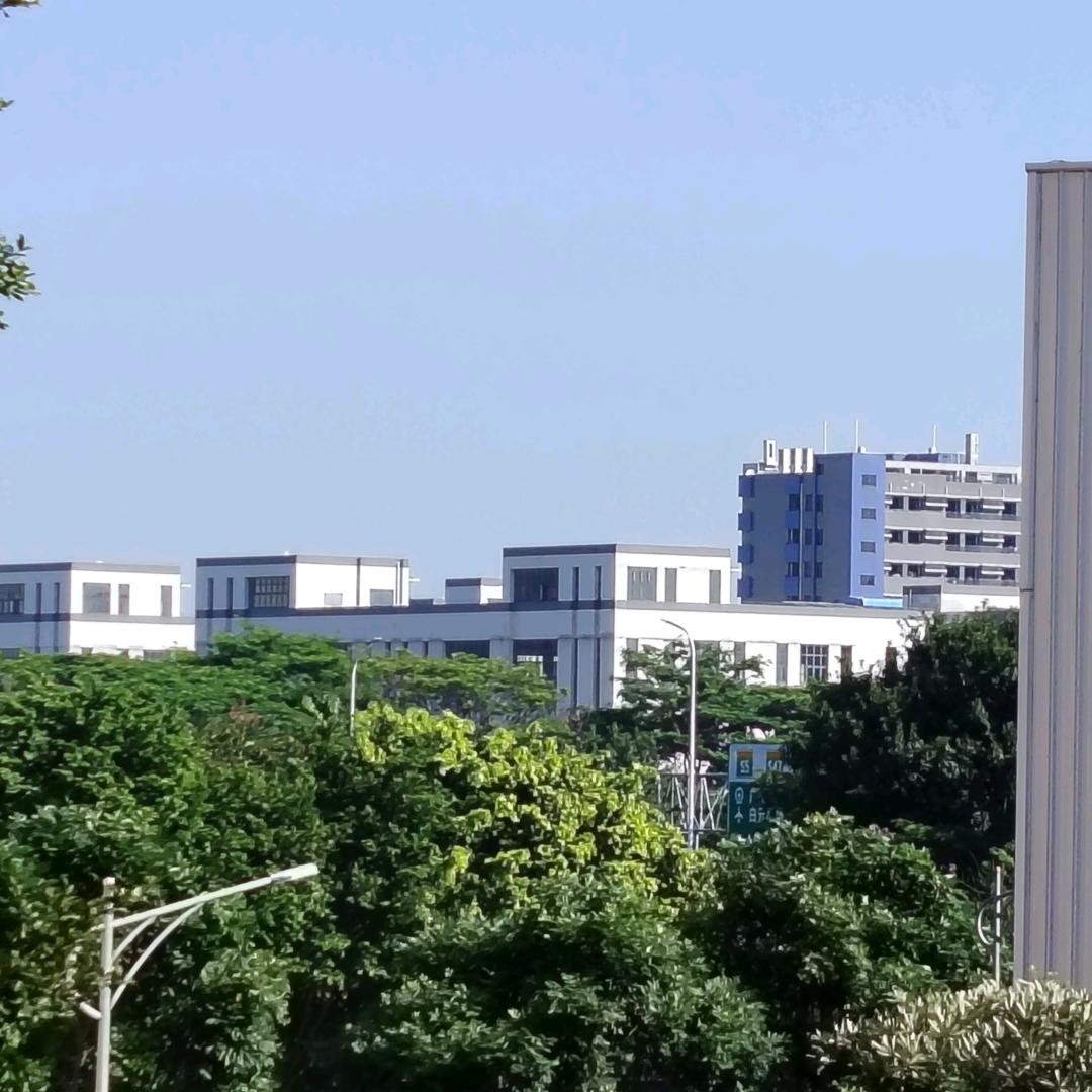 小兔子与胡萝卜的约定