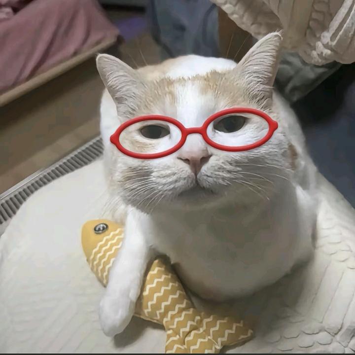 发疯猛抽188男大嫩臀