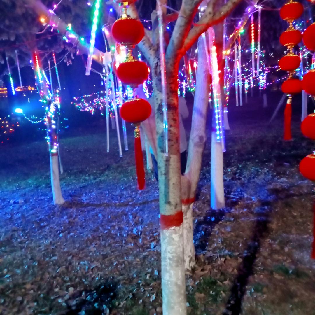 老头东哥