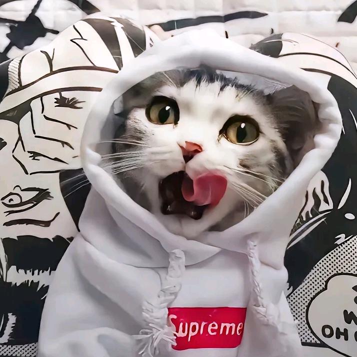 幼儿园的高材生