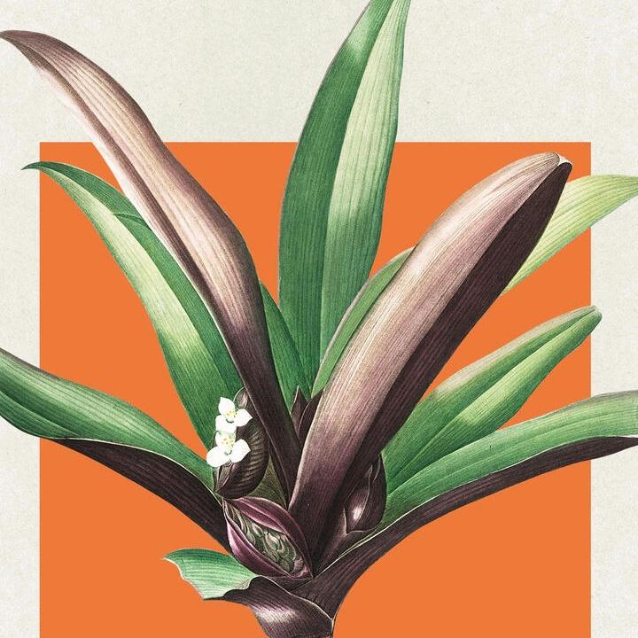 思守(*^ω^*)真心