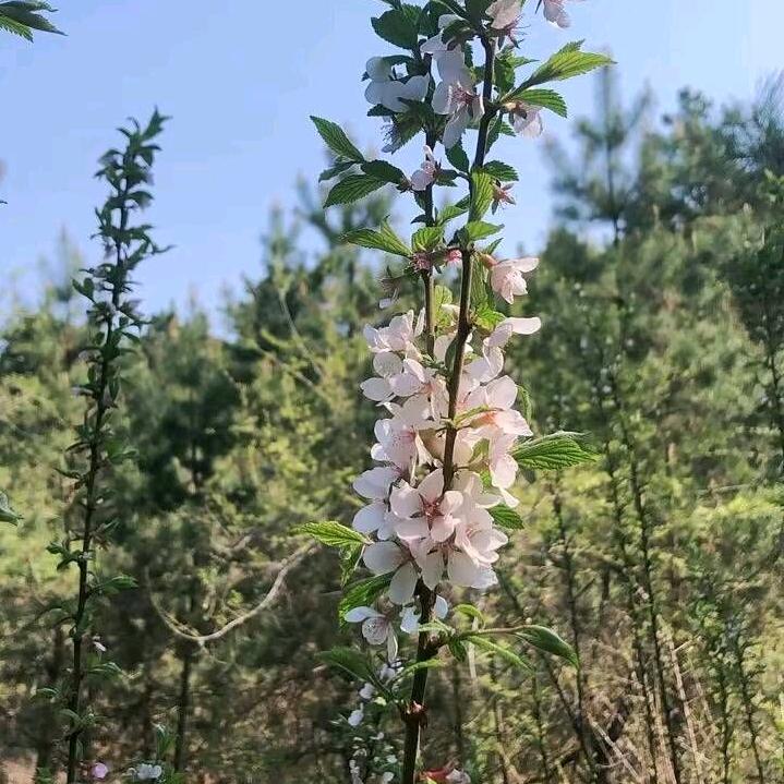 相遇偶然ฏ๎๎๎๎๎๎๎