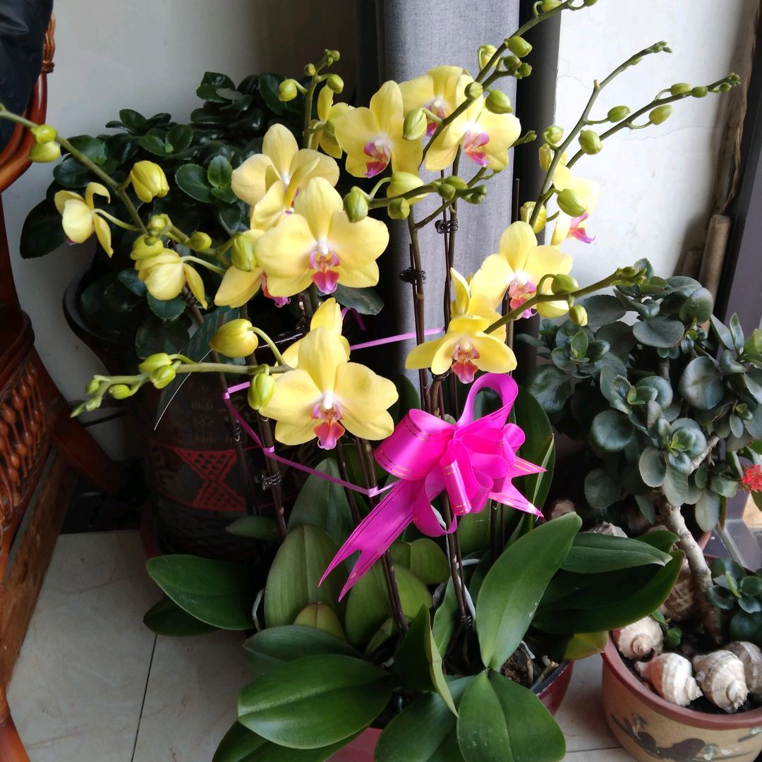 佳佳顺厨卫吊顶