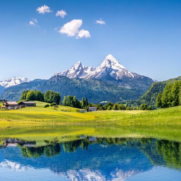 宁乡开极狐的雷老板