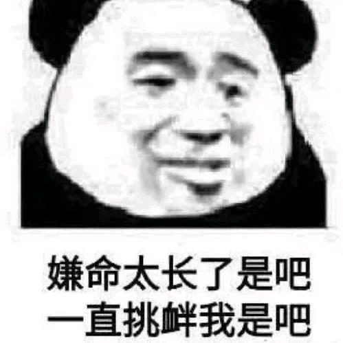 小趴菜♥