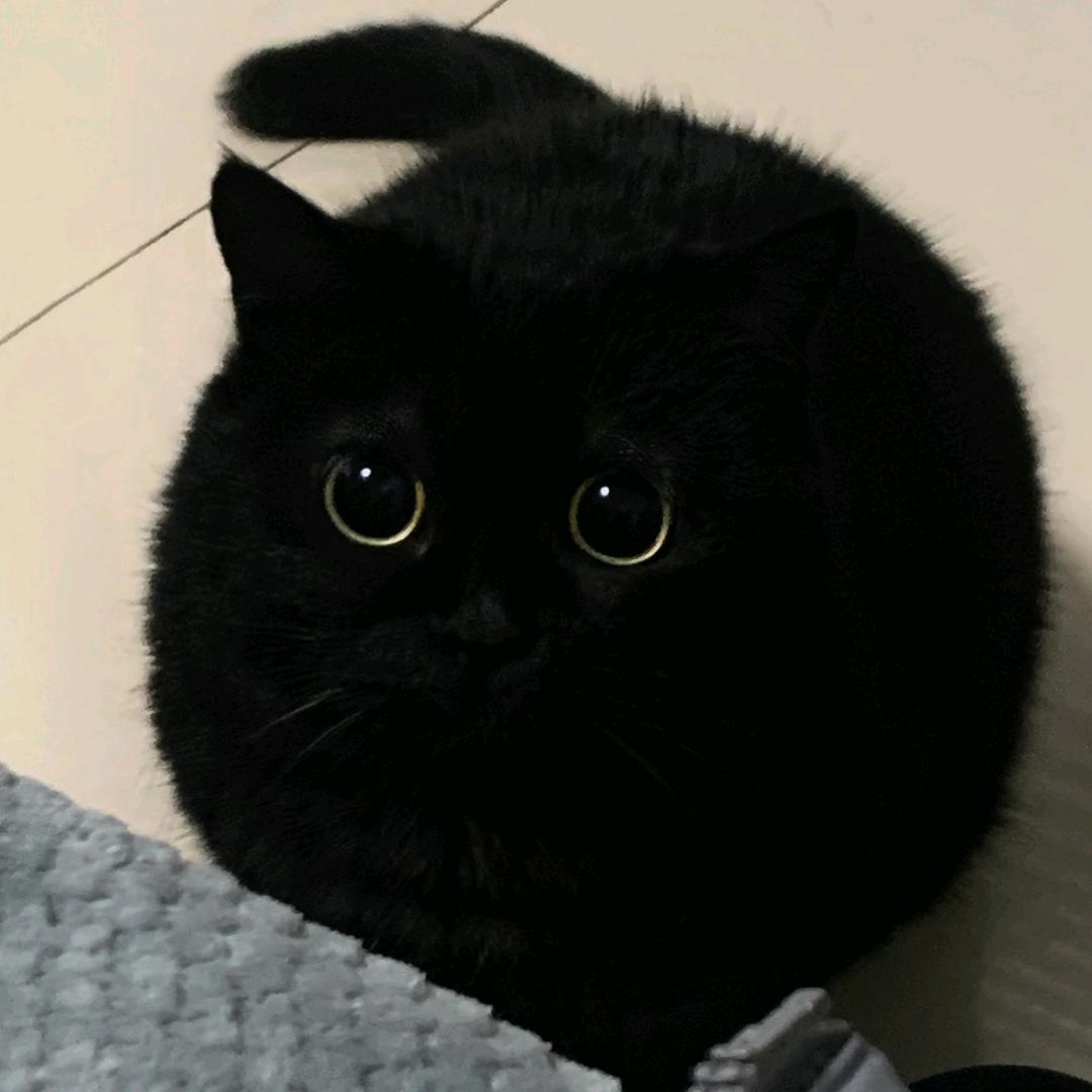 惜熙