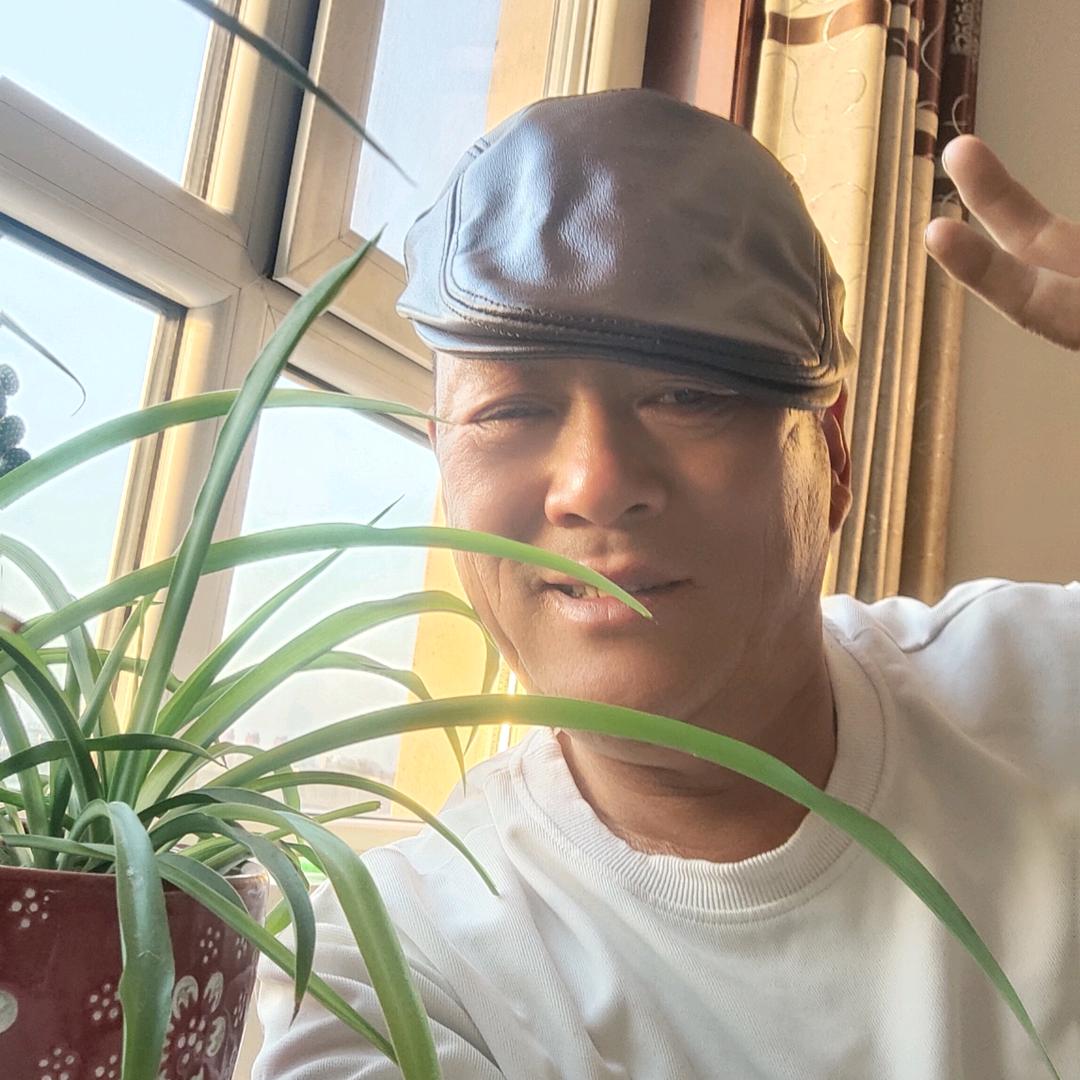 抓鱼老大