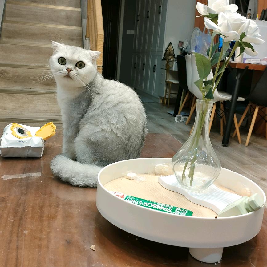 Luck小咪