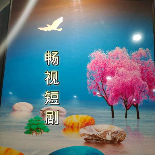 畅视短剧