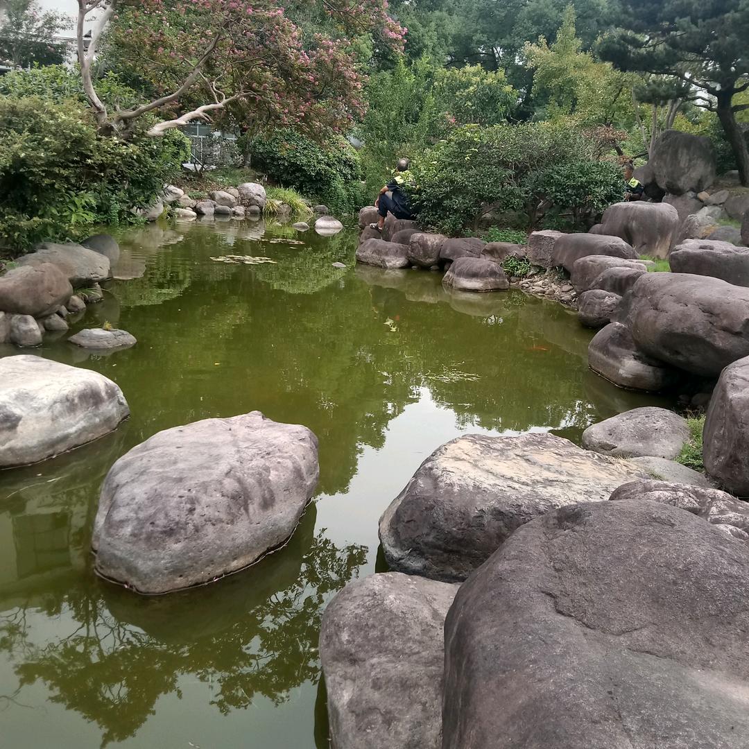 珍珍