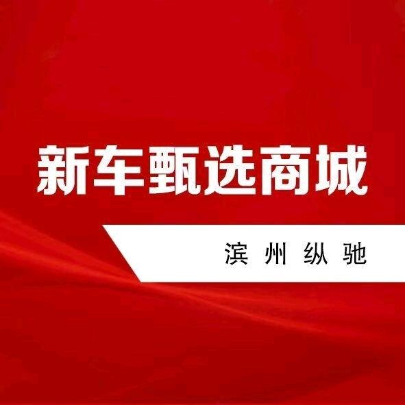 新车甄选商城忠哥