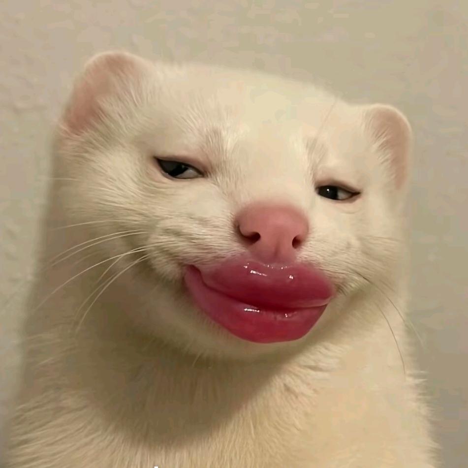 焦虑小姐