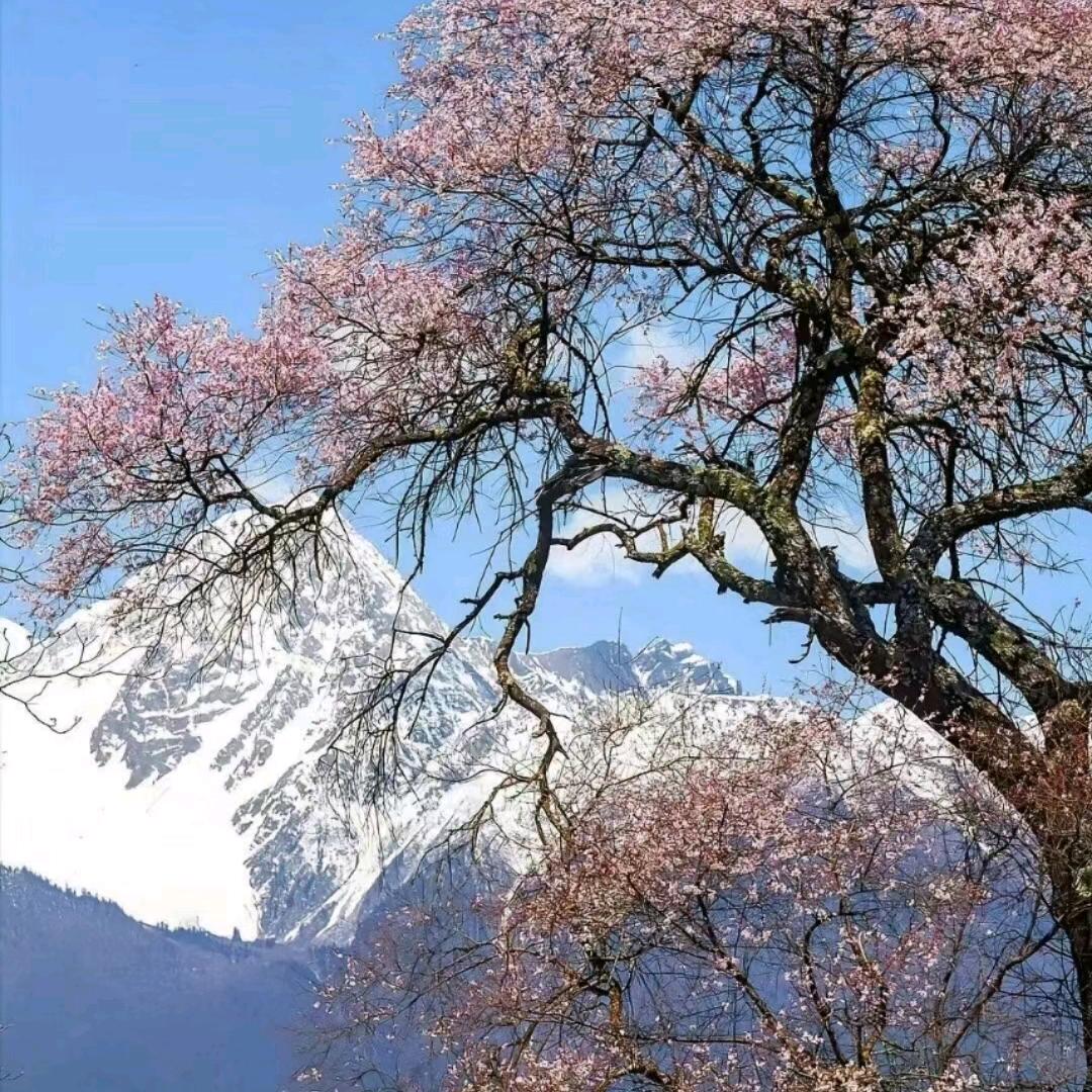 借个火