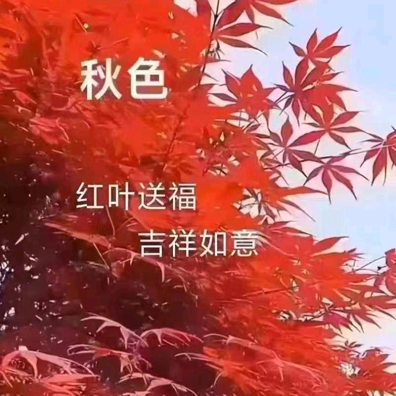 艳子记录美好生活