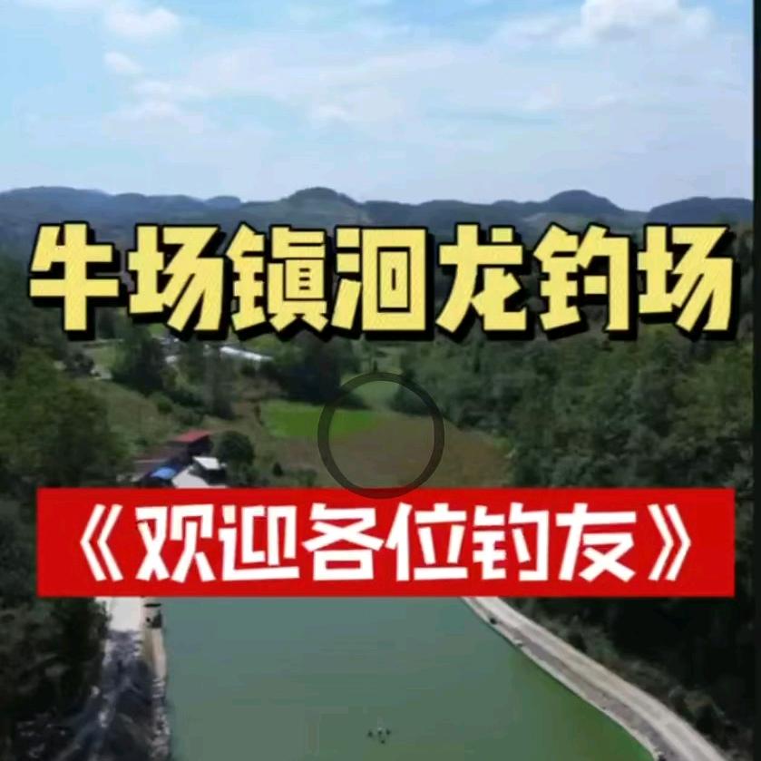 回龙巨物钓场