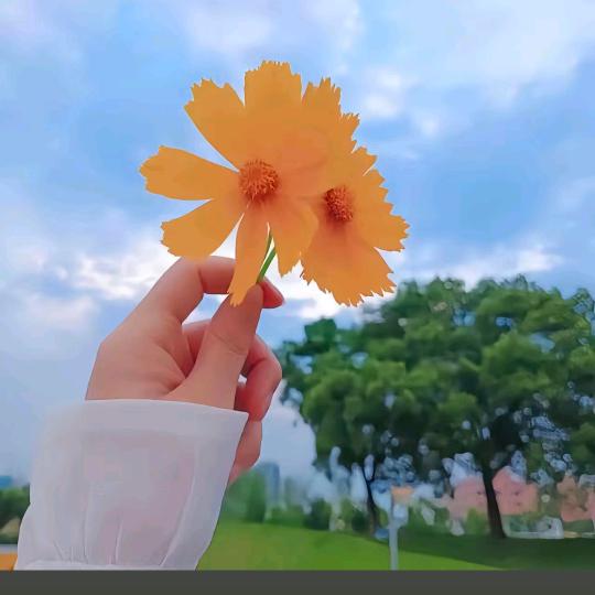 小任性