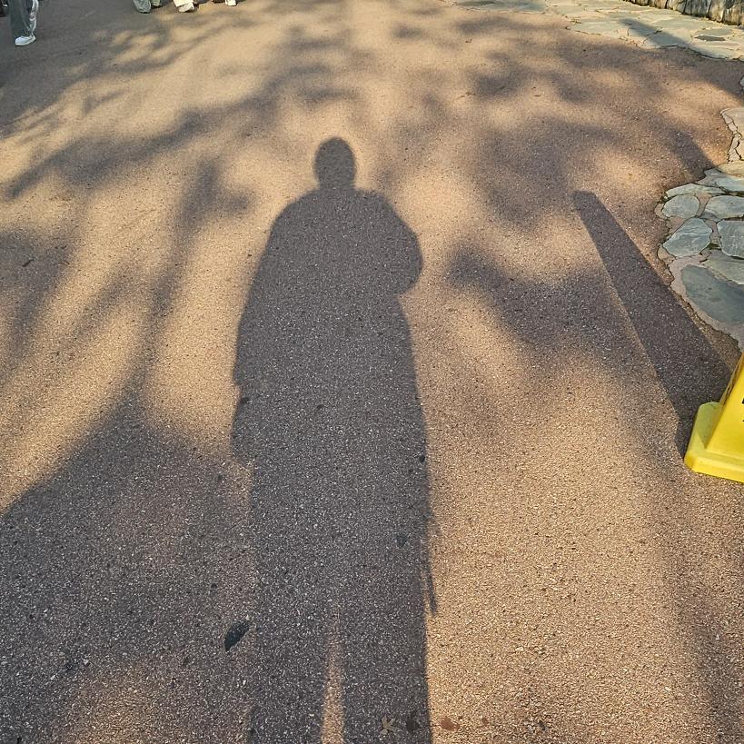 小康哥🍊（來自台湾）