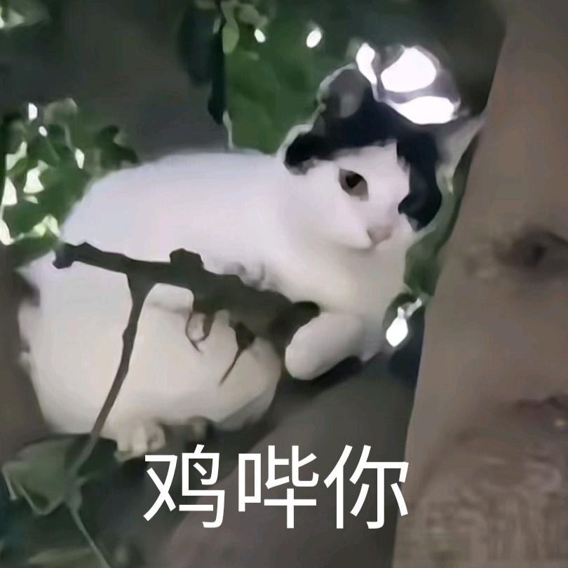 丝瓜是什么瓜（为i转e恐dw版）