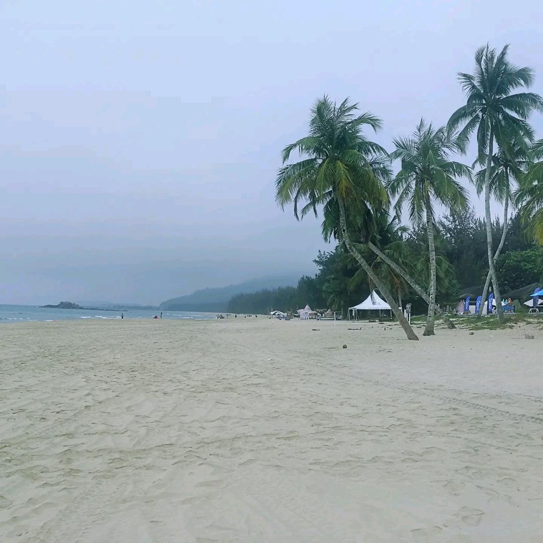 团团妈头像