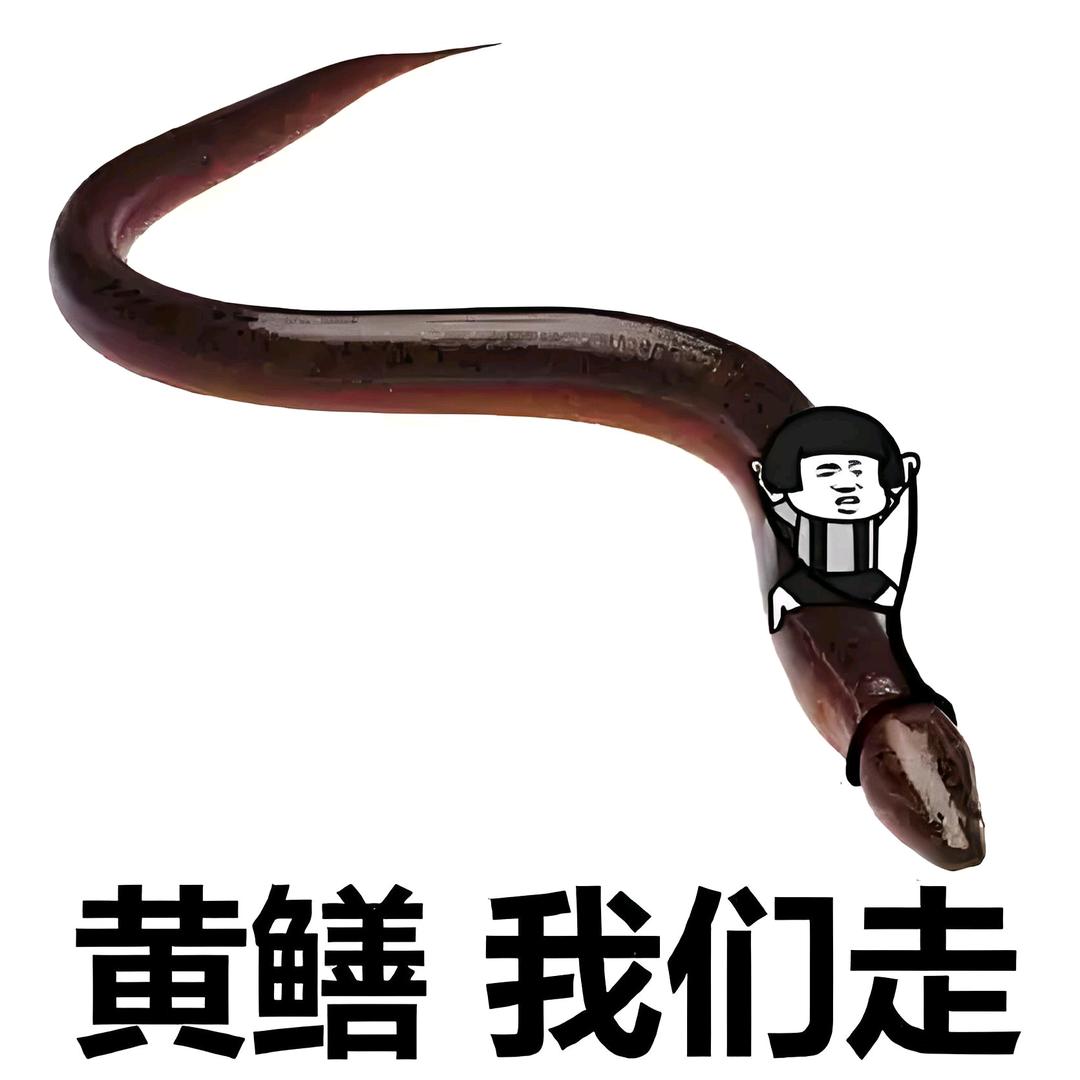 水中霸主