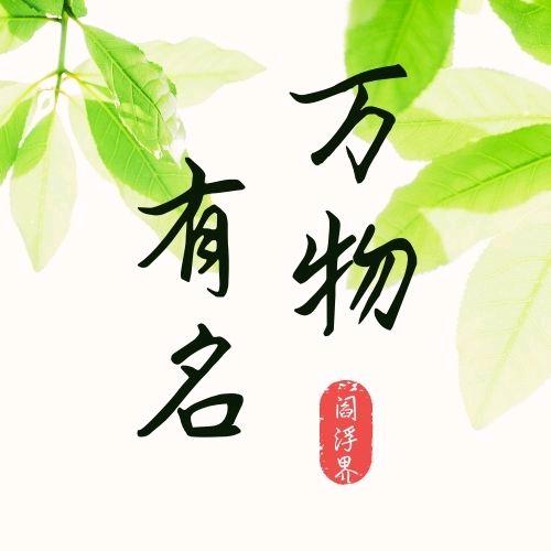 万物有名