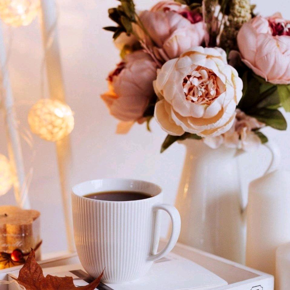 霓裳之雨《橱窗有好物》