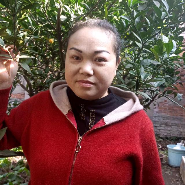 农村琼姐