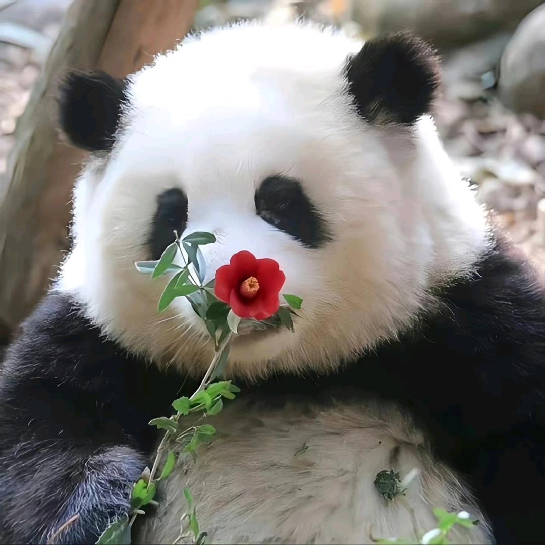 你的地理老师
