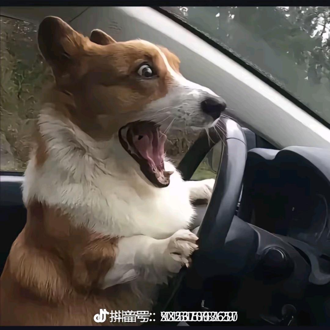 佛山还能打