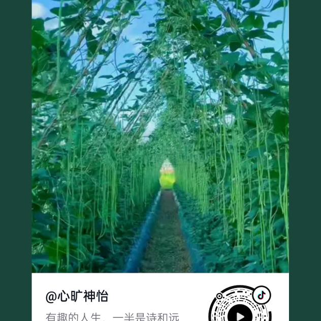峰哥