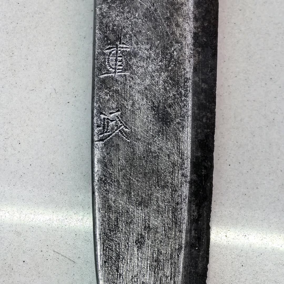 重隼来了