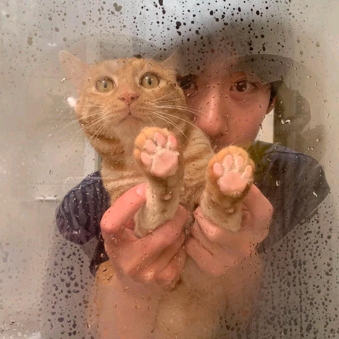 王牌