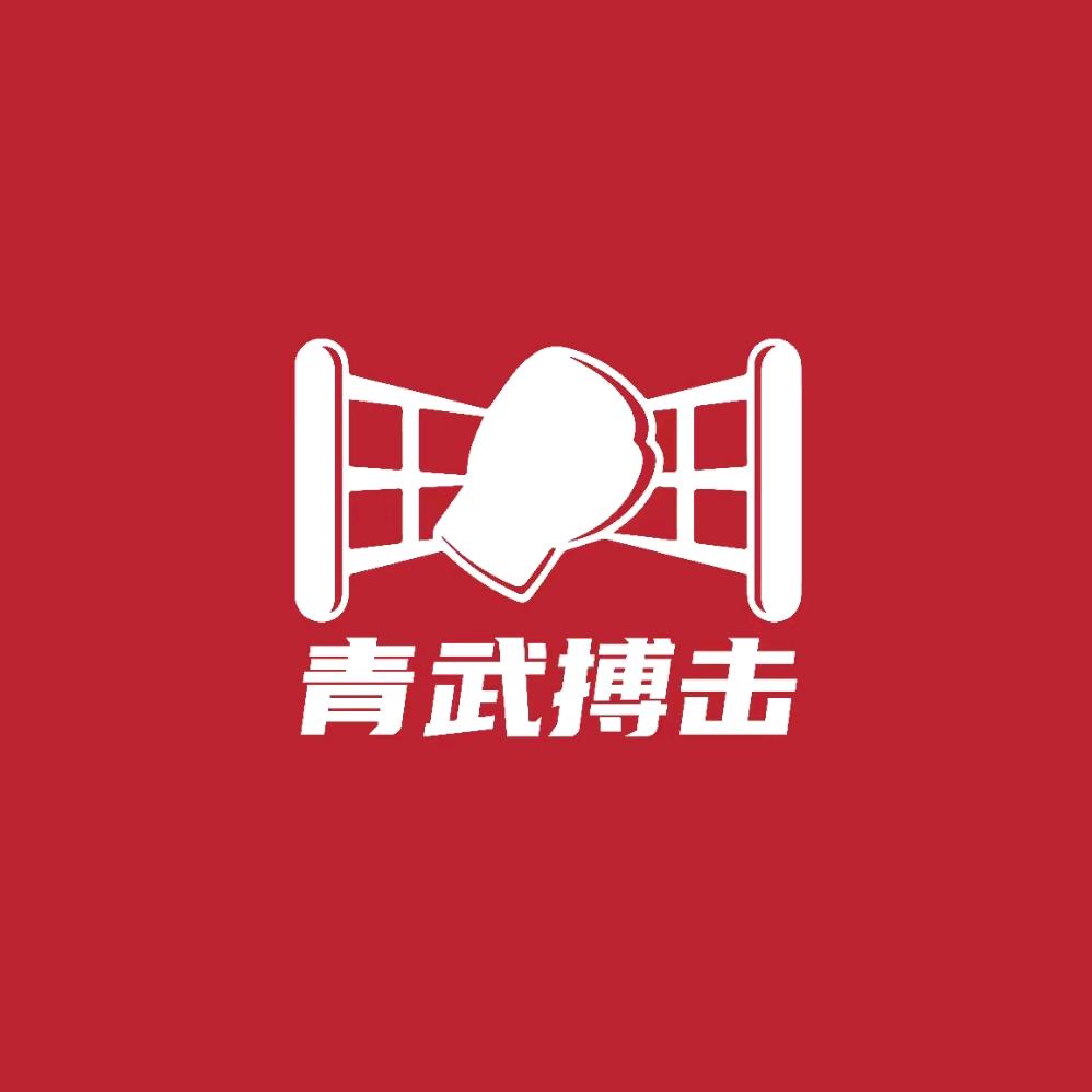 青武搏击